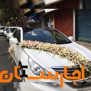اجاره انواع ماشین عروس