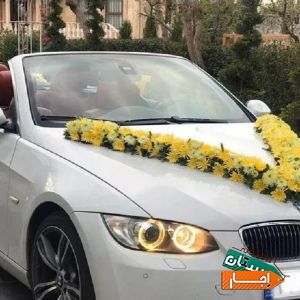 اجاره ماشین عروس کروک با بهترین شرایط