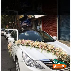 اجاره انواع ماشین عروس