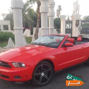 اجاره موستانگ کروک 2016 با بهترین شرایط