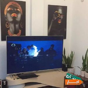 اجاره صدف با بهترین قیمت در کیش