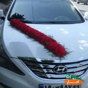 اجاره ماشین عروس سوناتاوای اف سفیدمدل بالا