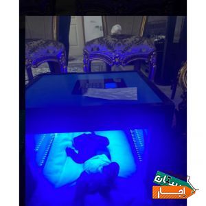 اجاره دستگاه زردی نوزاد /فتوتراپی(سراسر کرج)