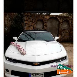 اجاره ماشین عروس شورولت کامارو