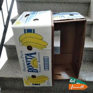 اجاره کارتن موزی در اسباب کشی