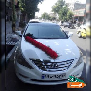 اجاره ماشین عروس سوناتا با گل ودسته گل