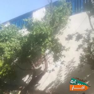 کارگاه اجاره ی 210 با بهترین قیمت