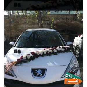 اجاره ماشین عروس