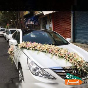 اجاره انواع ماشین عروس