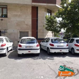 اجاره خودرو پژو 206 شرکت ثبت شده اجاره خودرو