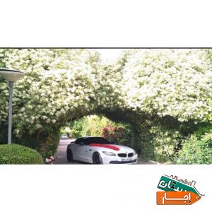 کرایه اجاره ماشین عروس BMWZ4 و مرسدس بنز C200