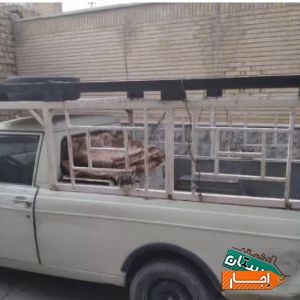 وانت بار کرایه تلفنی