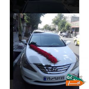 اجاره ماشین عروس سوناتا وای اف سفید