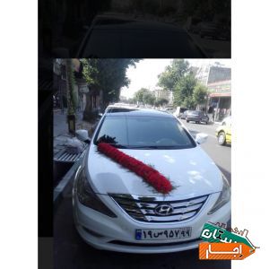 اجاره ماشین عروس سوناتا وای اف سفید