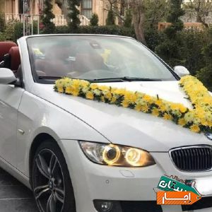 اجاره ماشین عروس کروک مناسب ترین شرایط