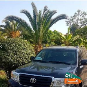 رنت خودرو با راننده با شرایط عالی
