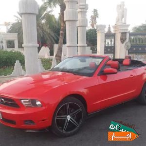 اجاره موستانگ کروک 2016