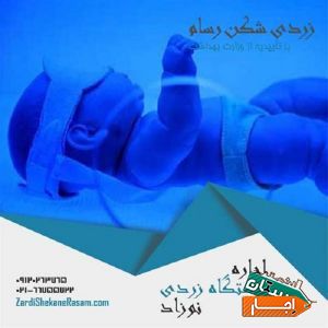 اجاره دستگاه زردی شکن نوزاد