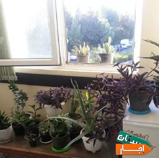 اجاره خوابگاه پسرانه