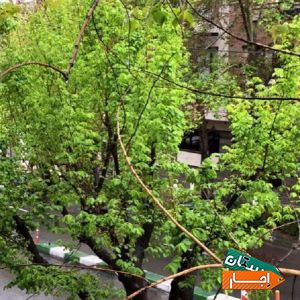 بهترین شرایط اجاره 120متر فرعی ظفر