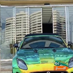 اجاره کروک امریکایی نیو با شرایط معتبر