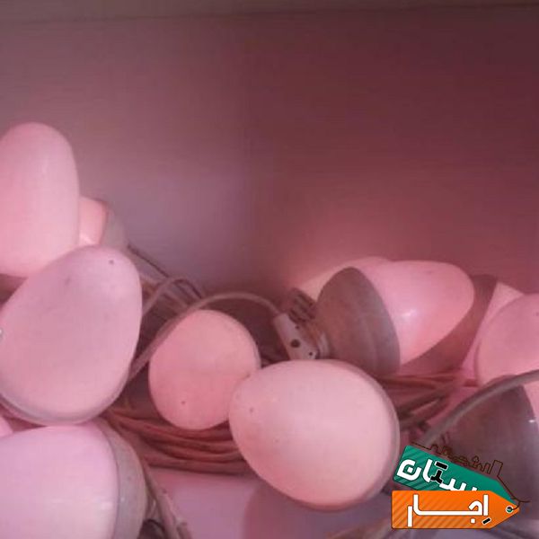اجاره ریسه عروسی