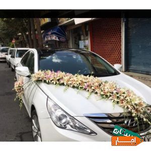 اجاره انواع ماشین عروس