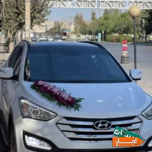 اجاره/کرایه ماشین عروس سانتافه نیو قیمت عالی