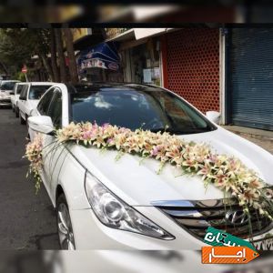 اجاره انواع ماشین عروس