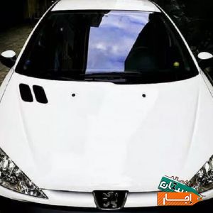 اجاره ماشین/اتومبیل/206 مالک