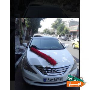 اجاره ماشین عروس سوناتا وای اف سفید