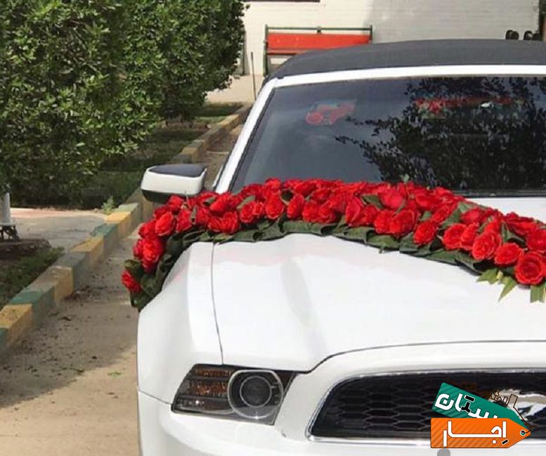 اجاره موستانگ ماشین عروس