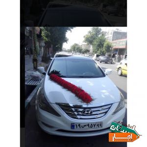 اجاره ماشین عروس سوناتا وای اف سفید