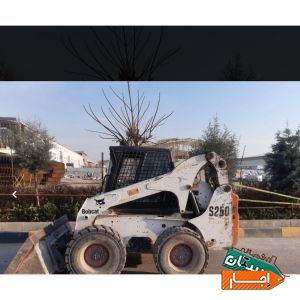 اجاره بابکت250