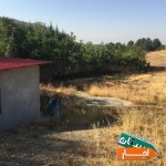 زمین-کشاورزی-جهت-کار-/پرورش